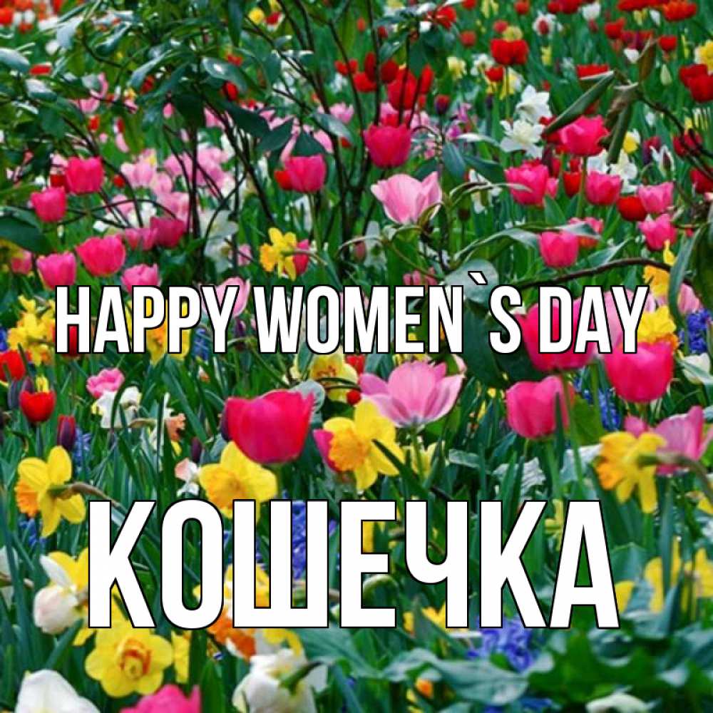 Greetings card с именем, Кошечка happy women`s day с международным женским днем поздравления для женщины Greetings with text for free download 